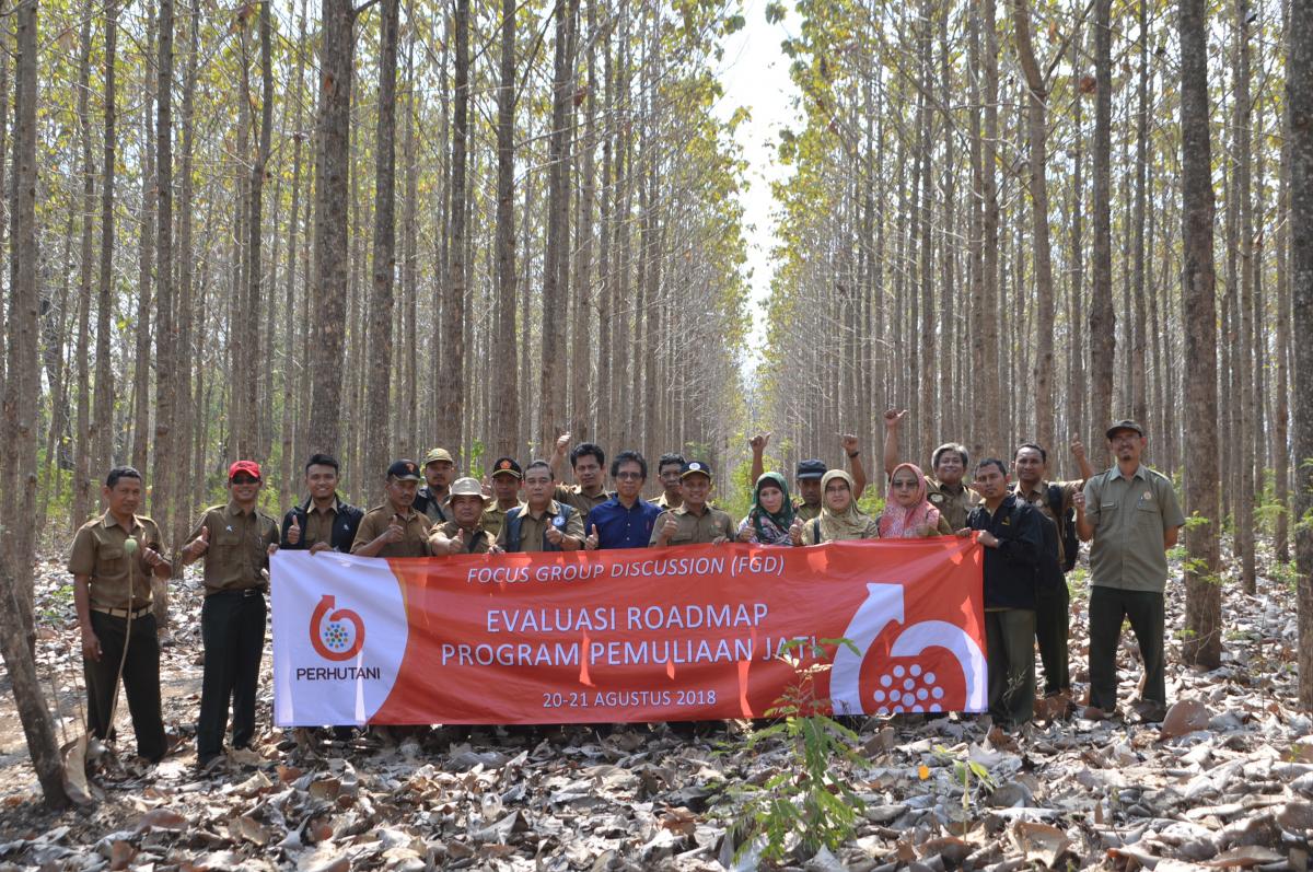 Fgd Evaluasi Roadmap Program Pemuliaan Pohon  Jati  Pusat 
